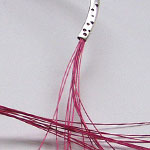 Champagne kollekció