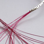 Champagne kollekció